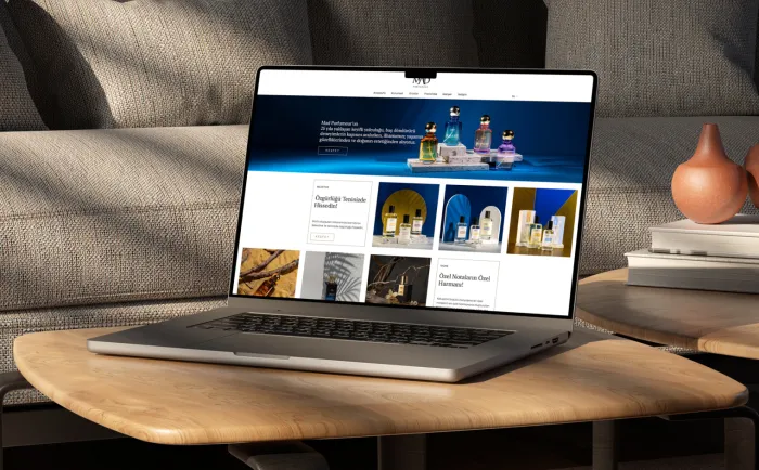 birikim pilleri web tasarım ajansı