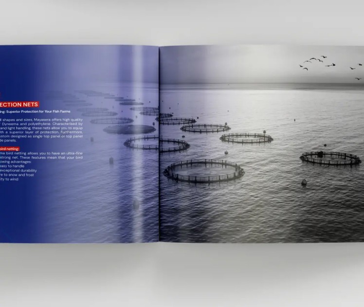 Mayasera Katalog Tasarımı