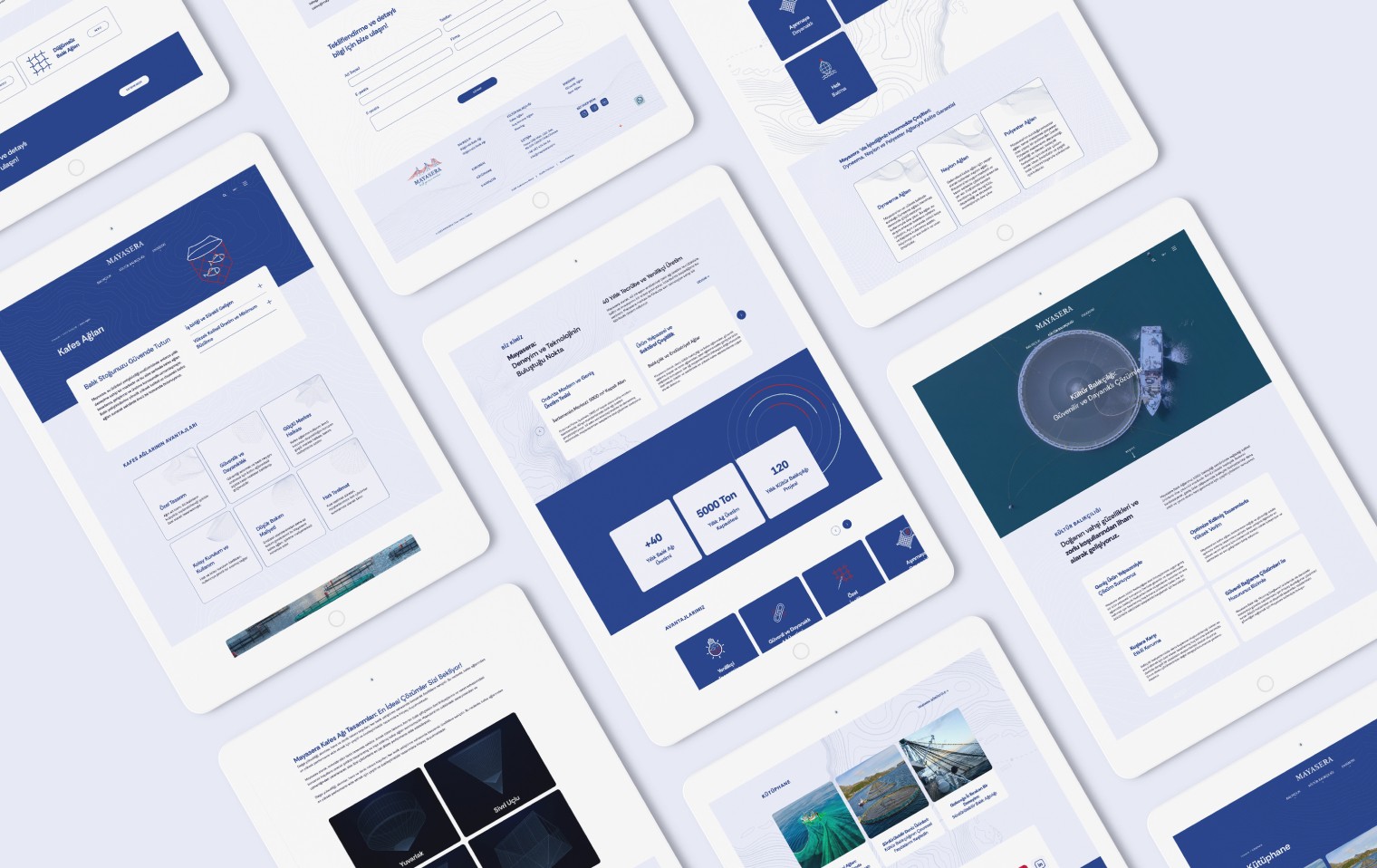 Mayasera Kurumsal Web Tasarım