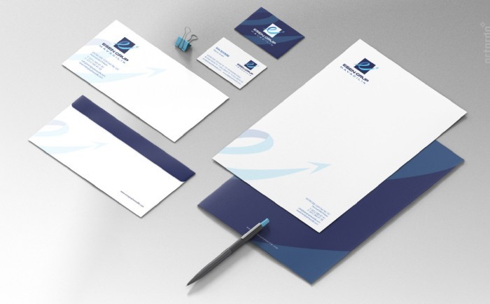 Esen Havacılık logo ve kurumsal kimlik tasarım 