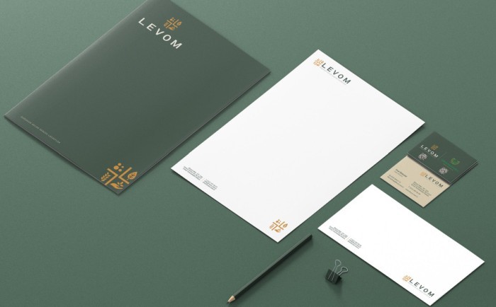 levom logo tasarım 